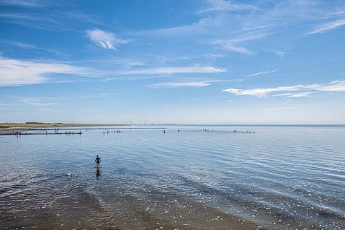 Wadden Sea Harlingen