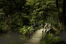 Über die Brücke von Kees van Dongen