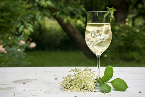 Erfrischungsgetränk mit Eiswürfeln aus Holunderblütensirup, Saft, Champagner, Soda und Minze im Glas