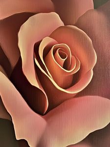 Die Seele der Rose