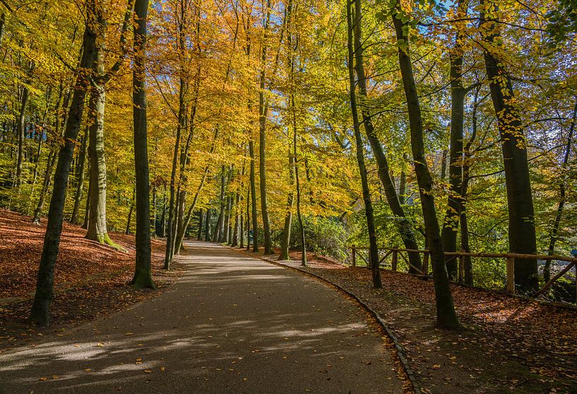 Park Sonsbeek par Jeroen de Jongh Photographie