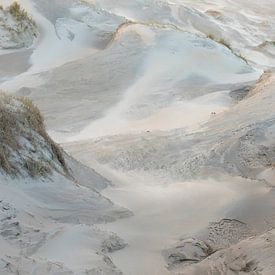 Creation of young dunes by Leendert Noordzij Photography