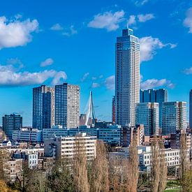 Rotterdam vanaf het Depot van Frank Lavooij