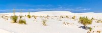 WHITE SANDS  Idyllisch panorama van Melanie Viola thumbnail