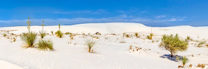 WHITE SANDS  Idyllisch panorama van Melanie Viola