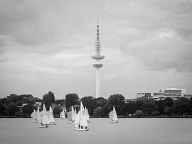 Hamburg Außenalster sailboats Telemichel - city water landscape ships by Der HanseArt