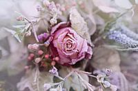 bevroren bloemen