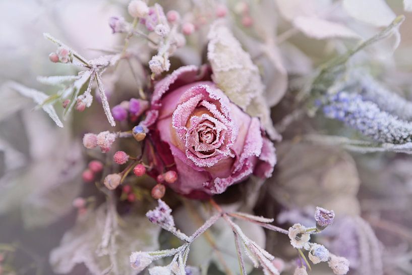 bevroren bloemen van Marianne Bras
