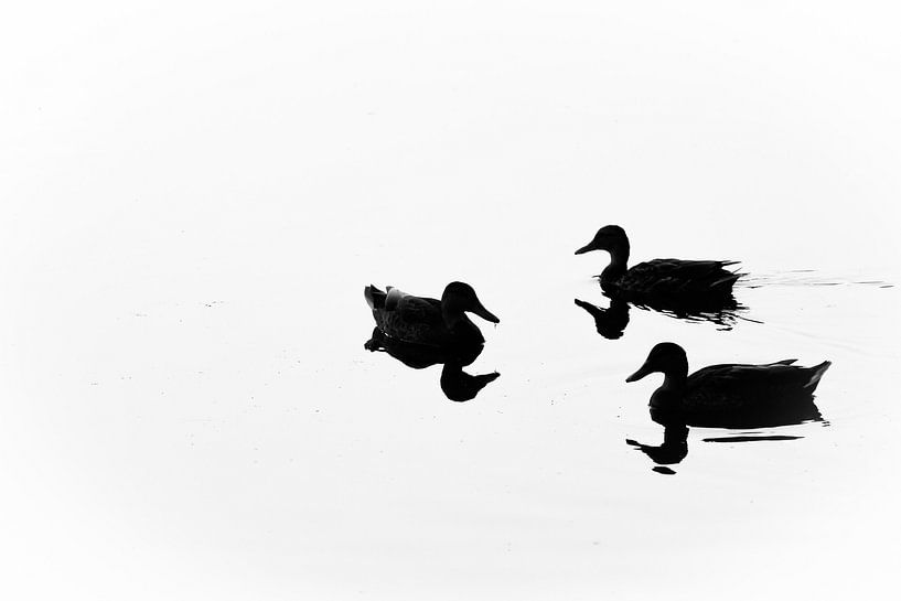 Just the three of us by Esther Ehren