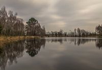 De Veluwe