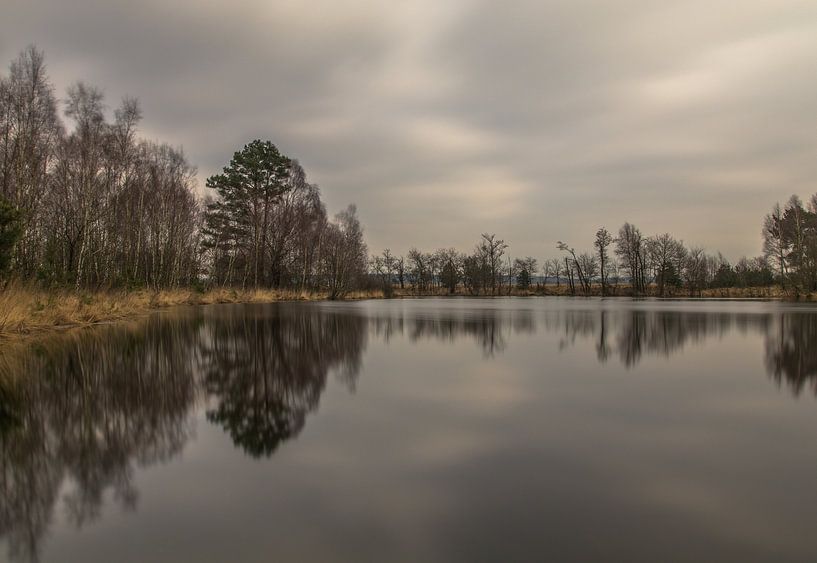 De Veluwe von Robert Dibbits