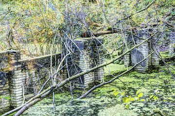 Waterwerk in het Waterloopbos in hdr van Frouwkje Fotografie