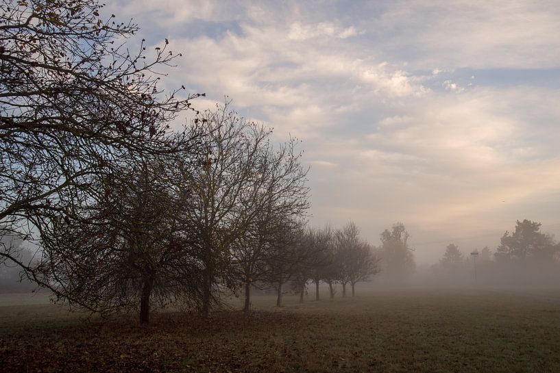 Nebel von Thomas Riess