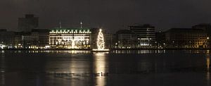 Die Alstertanne (Breitwandfoto)