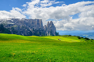 Das Schlern-Massiv, gesehen von der Seiser Alm oder Alpe di Siusi in der 