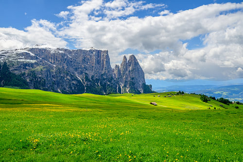 Het Sciliar-massief gezien vanaf de Seiser Alm of Alpe di Siusi in de 
