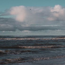 Die Nordsee von Daphne Hoedjes