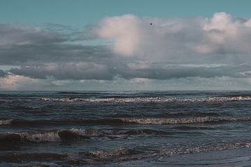 The North Sea by Daphne Hoedjes