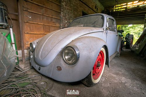 Vergeten Beetle