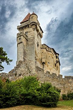 Kasteel van Liechtenstein van Roland Brack