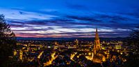 Freiburg im Breisgau skyline panorama in XXL formaat