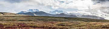 Skaftafell natuurpark in IJsland van Kim van Dijk