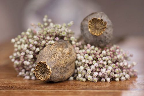 Droogbloemen op een oude, houten tafel van Birgitte Bergman