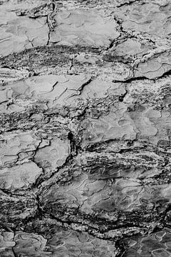 Textur der Baumrinde in schwarz-weiß 2 | Naturfotografie, Abstrakt von Merlijn Arina Photography