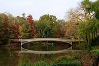 Bow Bridge in Central Park, New York City van Gert-Jan Siesling thumbnail