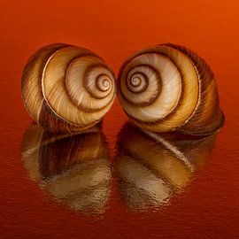 Cosy Orange : ensemble dans un orange chaud