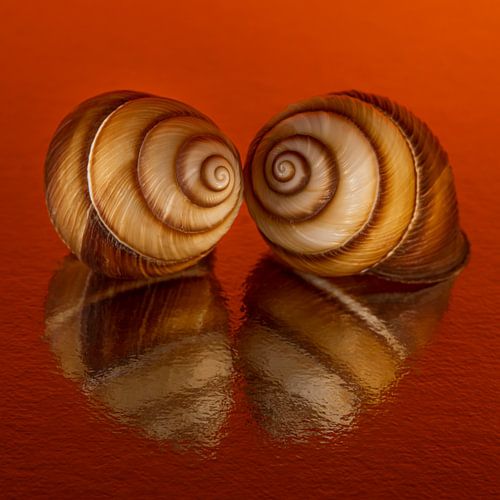 Cosy Orange: Samen in het warme oranje