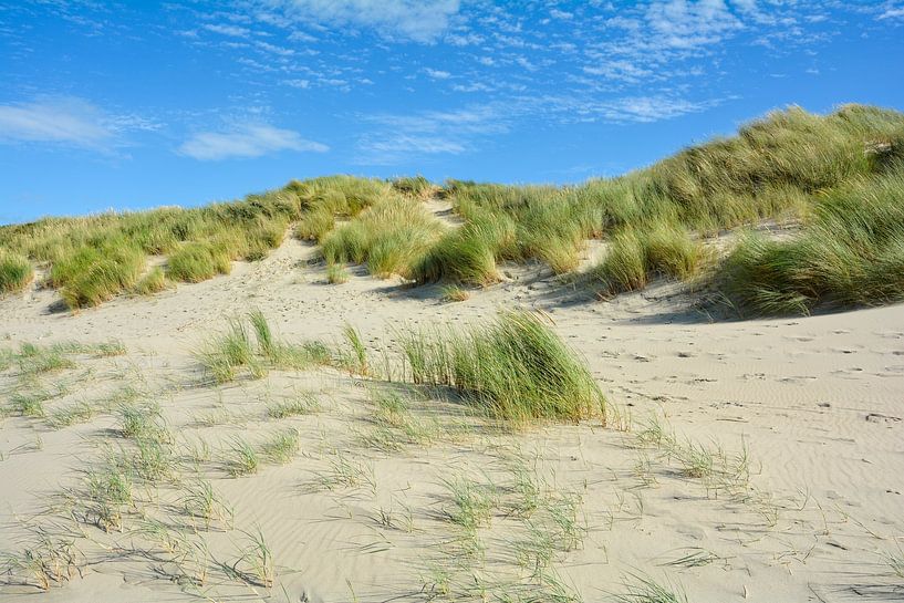 Dune Magic by Claudia Evans