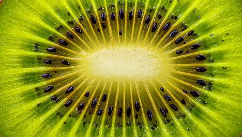 Close-up of a fresh green kiwi slice