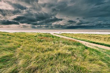 Donkere regenwolken boven de Noordzee en het duinlandschap