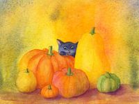 Schwarze Katze lugt hinter Kürbissen hervor