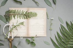 Botanische platte foto