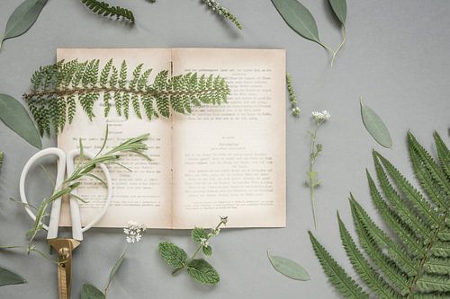 Botanische platte foto