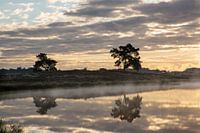Weerspiegeling