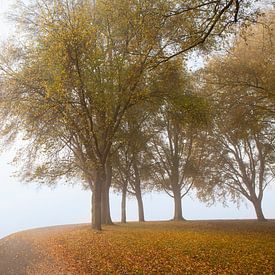 Herfsttooi aan het meer. van Rens Kromhout