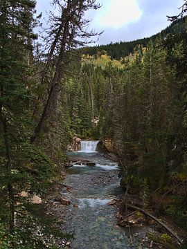 Johnston Canyon van Timon Schneider