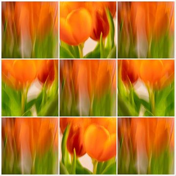Tulpen-Collage | A von Rob van der Pijll