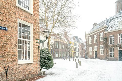 Leiden in de sneeuw