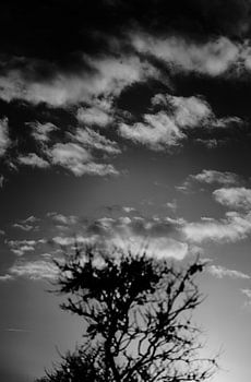 Contrasts of winter in L'