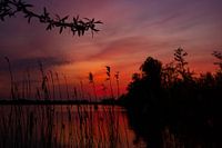 Roter Sonnenuntergang am See