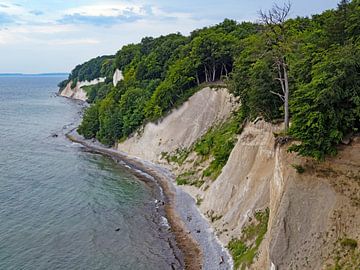 Kreidefelsen auf Rügen von Katrin May