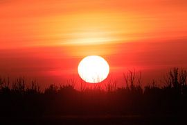 Sonnenaufgang in Almere, Lepelaarsplassen von Foto Studio Labie