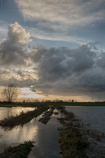 Landschap by Fons Brekelmans