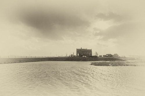 Wassend water en droge terp in de Noordwaard