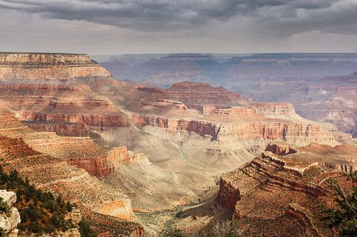 Grand Canyon in Arizona by Ilya Korzelius