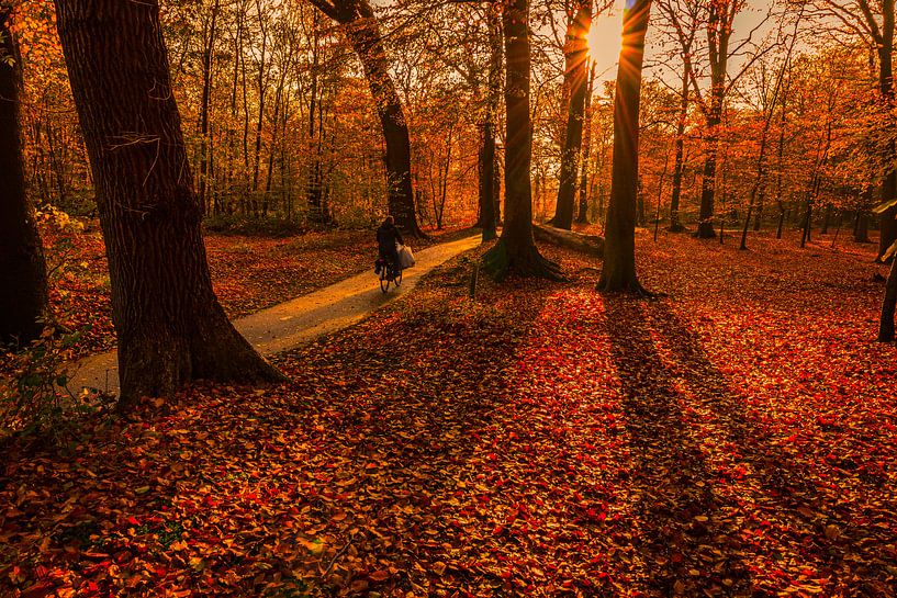 Sonniger Herbst von peterheinspictures